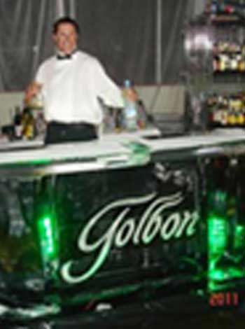 ice sculpture
