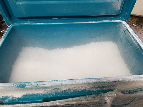 How To Pack a Cooler with Dry Ice - Penguin Brand Dry Ice®