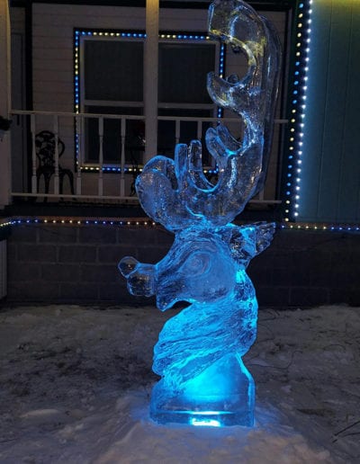 Reindeer Ice Sculpture